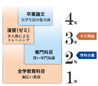 カリキュラム図解